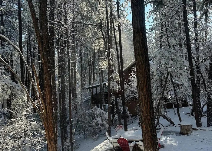 Cozy Holiday home Pine